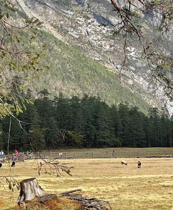 云南旅游攻略路線最佳路線_云南旅游攻略路線最佳路線地圖