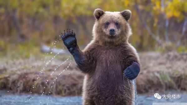 南阳房产中介哪家好,南阳好的房产中介