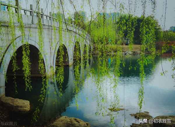 关于杨柳春风的诗句(形容杨柳的诗词形容春风的诗词)