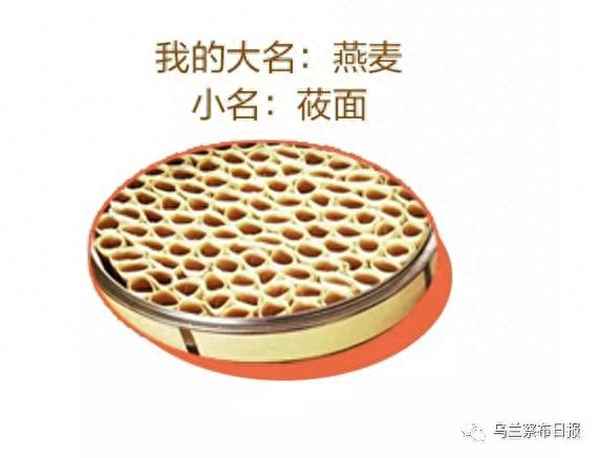 莜面做的6種面食—莜面做的6種面食圖片