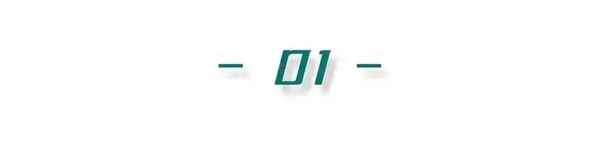 9寸+1寸=1尺打一成語,看圖猜成語一把尺子有入和出