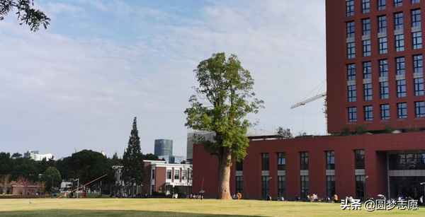 上海财经学费-上海财经学费9万贵吗