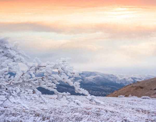 见渭水思秦川岑参古诗、见渭水思秦川 古诗