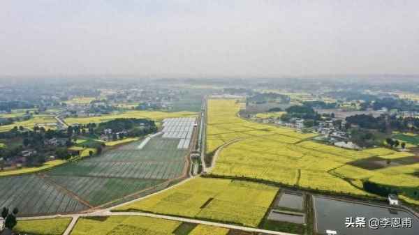 綿陽市繼續教育_綿陽市繼續教育學時查詢