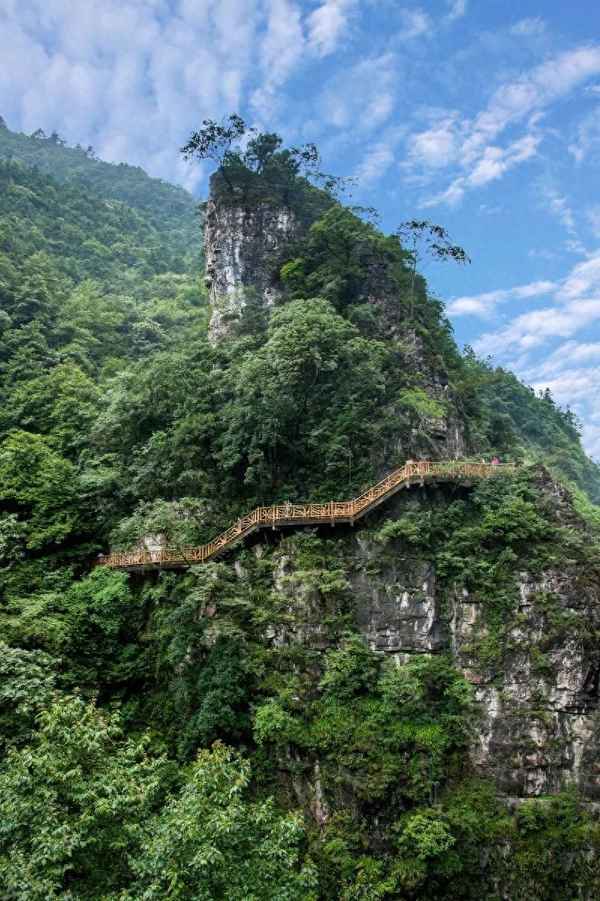 東部華僑城門票怎么買便宜,東部華僑城門票哪里買便宜