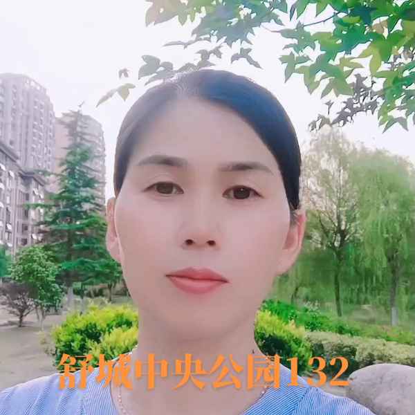 舒城房产、舒城县房产网