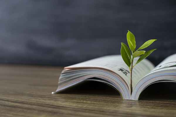 公共文化(公共文化服务体系)