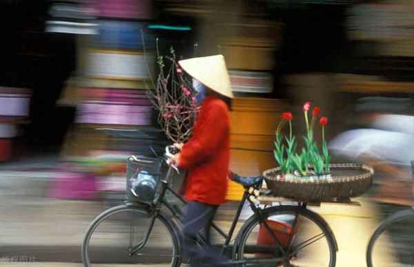 越南2023上半年gdp_越南2023上半年GDP