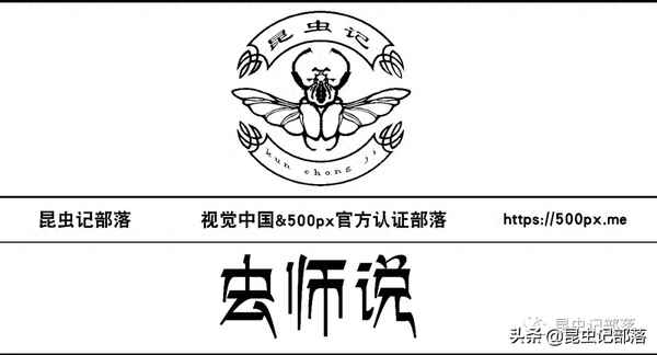 昆蟲記閱讀心得30字_昆蟲記閱讀心得30字左右