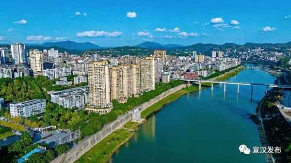 2024年木耳走勢-2020年的木耳行情怎么樣