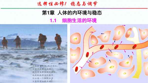 生物選修一人教版電子書、高一生物必修一電子課本