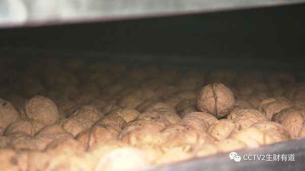 财经频道核桃(核财经app下载)