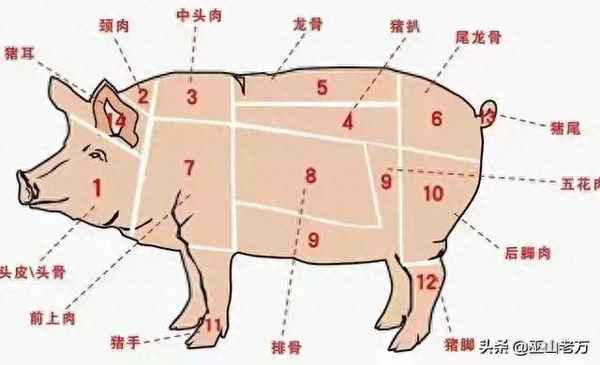 工廠食堂菜譜大全(6元一餐的食堂菜譜)