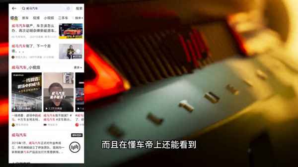 開威馬的都是什么人—威馬是雜牌車嗎