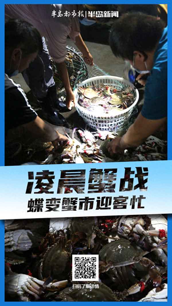 螃蟹一般晚上几点出来活动_海边捉螃蟹的最佳时间