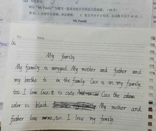 my family小学三年级英语作文;三年级英文作文my family