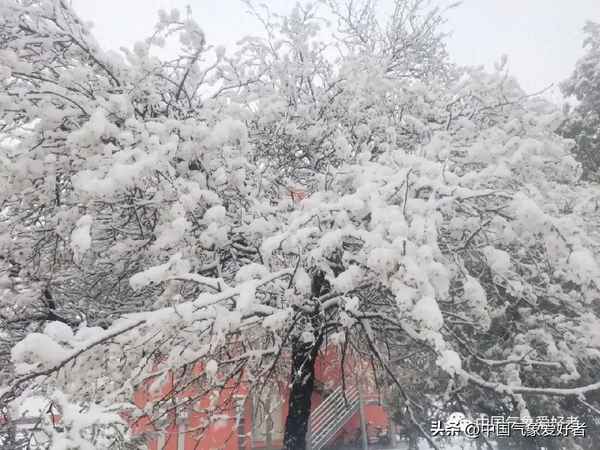 2020年1月歷史天氣查詢記錄-2020年1月份歷史天氣查詢
