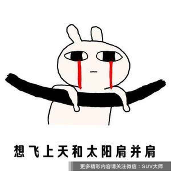 遮陽板汽車,遮陽板汽車有用嗎