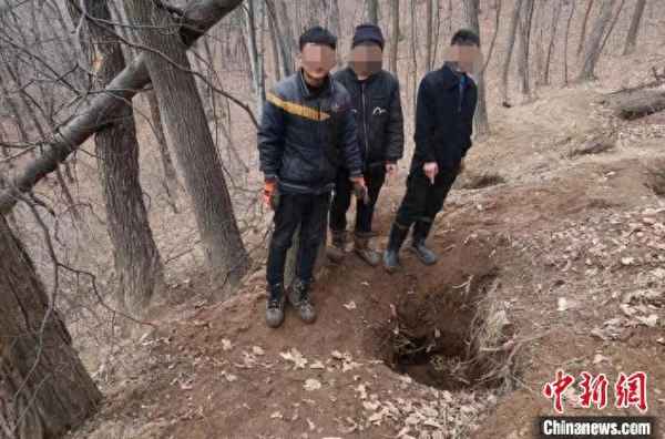 最新吊脚野猪套视频、抓山猪吊脚套制作教程