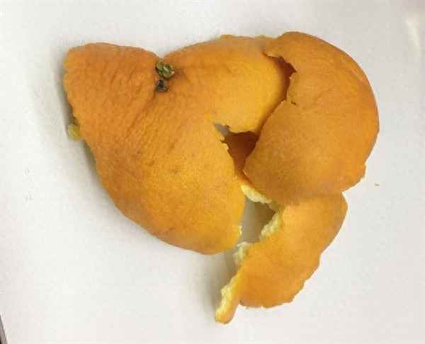 普通桔子皮能做陳皮嗎-陳皮和橘子皮的區(qū)別