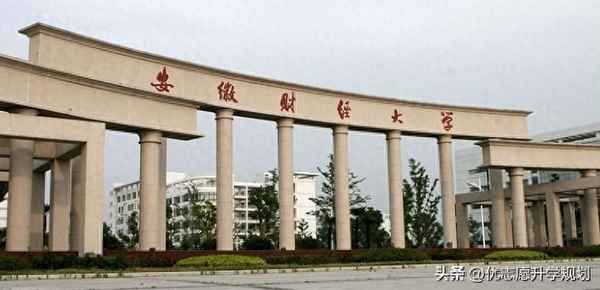 财经教育就业(财经教育就业前景)