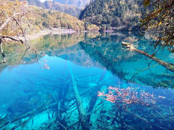 九寨沟景区介绍资料;九寨沟景点介绍资料