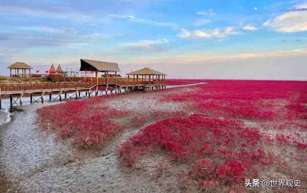 海濱浴場是海邊嗎;海濱浴場好玩嗎