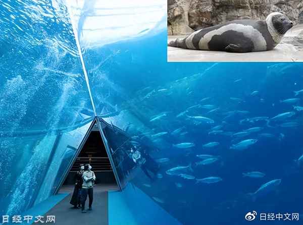 大阪海游館值得去嗎_日本大阪海游館門票