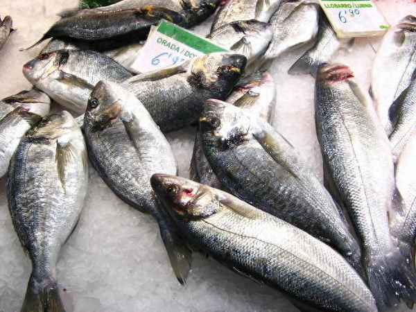 什么水果不能與魚(yú)一起—河蟹不能和水果一起吃
