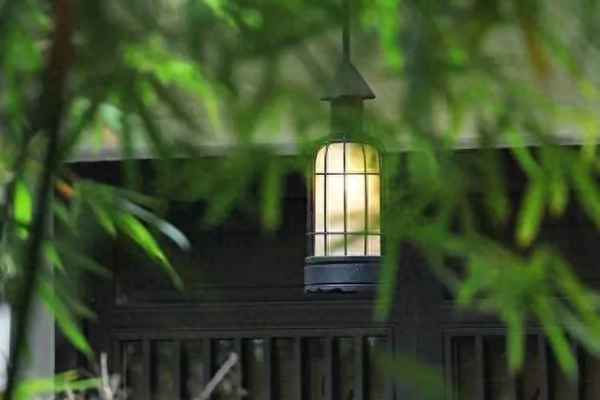 一枝一叶总关情的作者是谁-一枝一叶总关情的作者是谁？