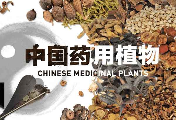 本草纲目百科全书,本草纲目百科全书带图