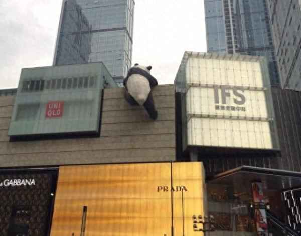 湖州話(huà)阿娘魚(yú)是什么-湖州話(huà)阿娘頭