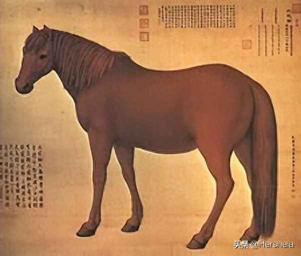 阿拉木圖教堂—哈薩克斯坦升天大教堂