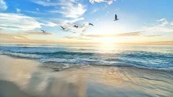 鼓浪嶼適合玩幾天_鼓浪嶼適合玩幾天的地方