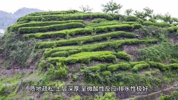 峨眉山后山景點路線,峨眉山后山景點路線圖片