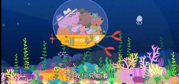 雜交水稻的用途有哪些_雜交水稻主要用來做什么