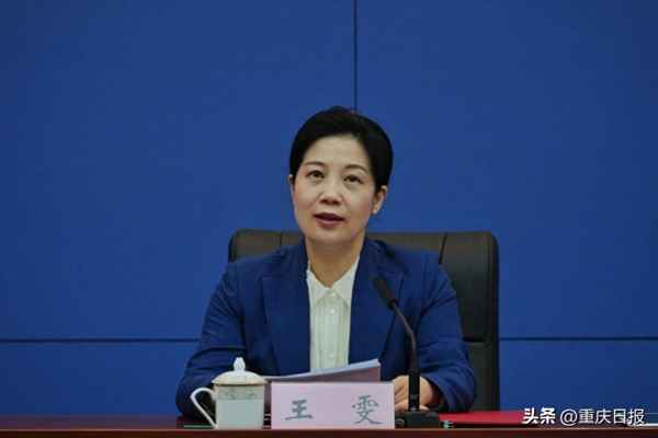 渝开发和重庆港重组;渝开发在重庆的地位