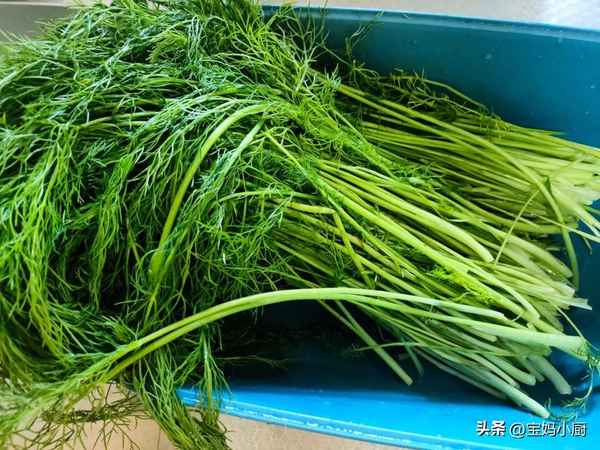 孕期食譜1-10個月;孕期食譜1-10個月早中晚