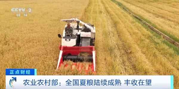 小麦财经股市、小麦农业股票