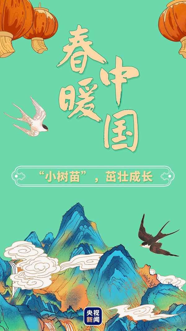 教育苗木—苗木品種名字大全
