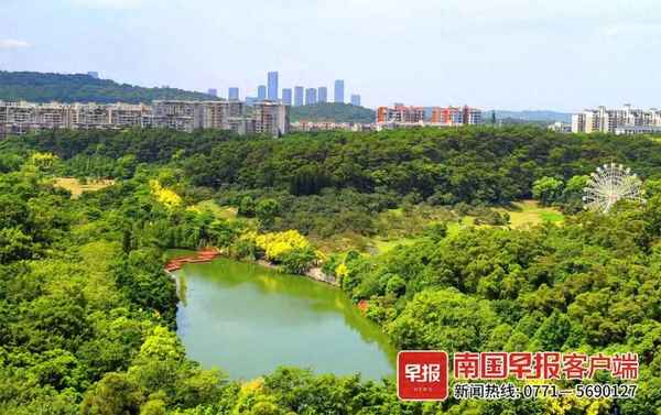 臺風來襲廣西將迎降雨_臺風 廣西