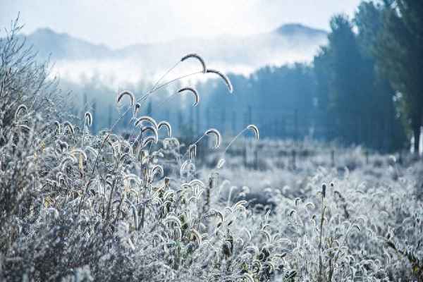 全国超15省份冷暖大转变天气预报,全国各省天气预报15天查询