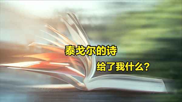 泰戈爾詩集心得體會-泰戈爾詩集心得體會1000字