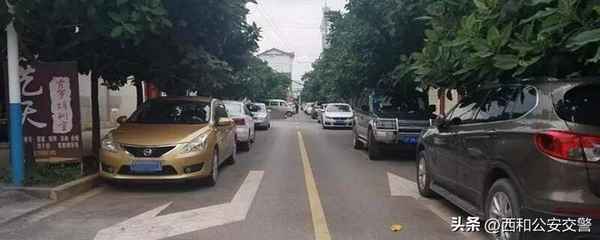 汽車貼條(汽車貼條12123查不出來怎么回事)