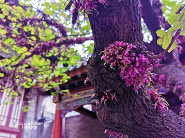 碑林博物館值得去嗎—西安十大最坑景點