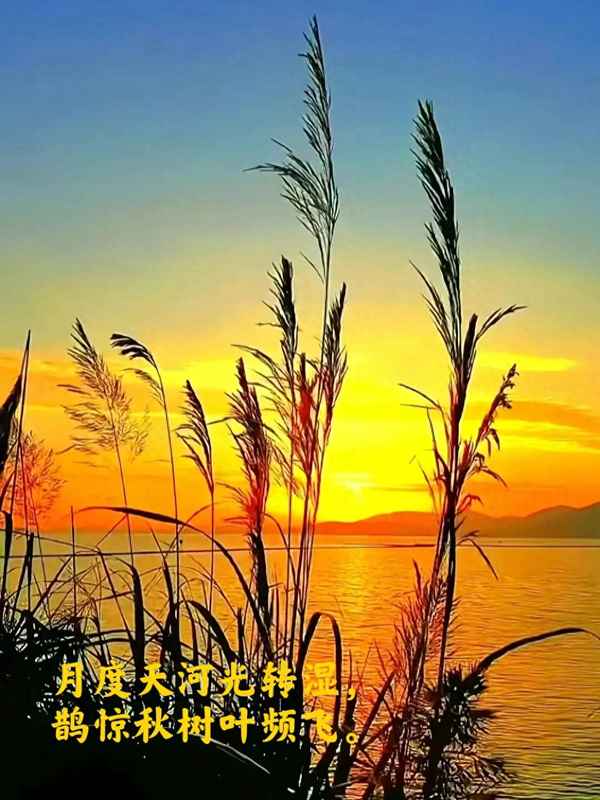 秋夜将晓出篱古诗全文—秋夜将晓出篱门古诗 诵读