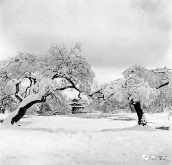 永宁候的望门寡与太子