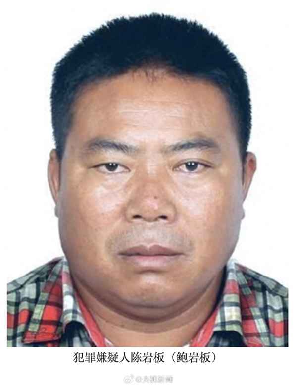 电信诈骗最大头目_电信诈骗头目判多少年