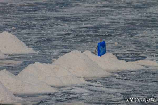 四川自贡盐有几个品牌—食盐最好三个牌子2023