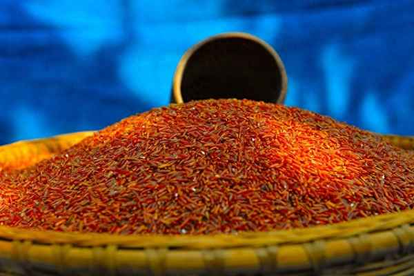 哪里的水稻最好吃、水稻最好的地方